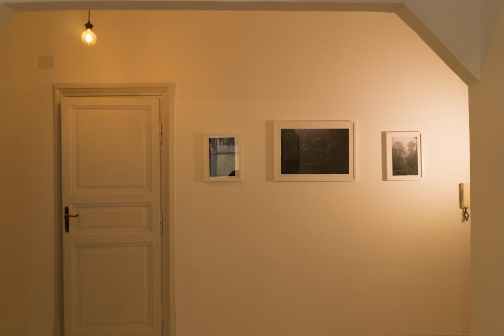 Trastevere Corner Eight Roma Exterior foto